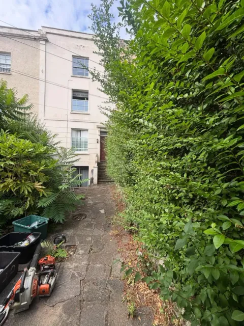 A tall overgrown hedge beside a narrow paved path with hedge-cutting equipment on the ground