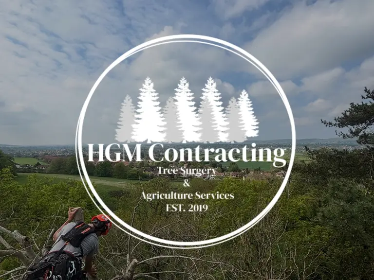 HGM Contracting arborist climbing a tree above the North Somerset countryside, with the HGM Contracting badge overlaid